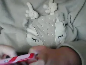 Alyacurvy00  live sex cam