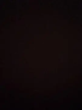 StefaniaPT  live sex cam