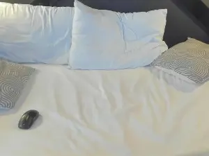 Noa_1x_  live sex cam
