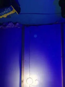 Lu884  live sex cam