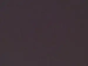 Betwenmyboos  live sex cam