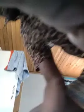 Monicasexy42  live sex cam