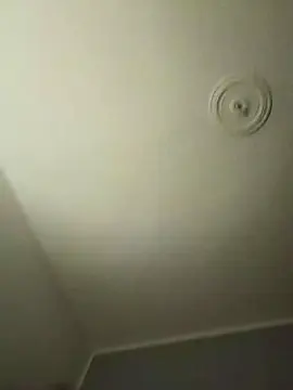 Hotledy69  live sex cam