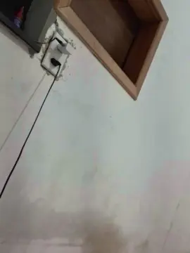 Brabixa  live sex cam
