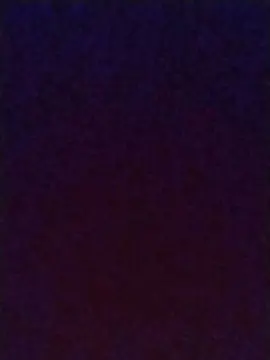 Flopaaf  live sex cam