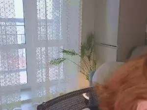 Glowsun  live sex cam