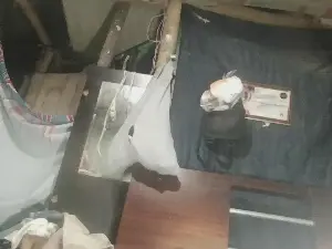 TamaraTastty  live sex cam