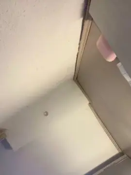 Mxoxo25  live sex cam