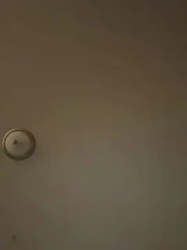 Bubblegumpussy2  live sex cam