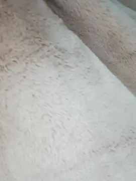 FoxySpanks  live sex cam