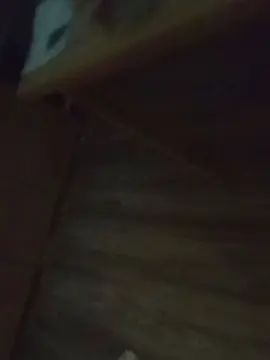 Lukignolo81  live sex cam