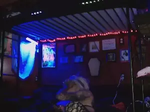 AliceCooper  live sex cam