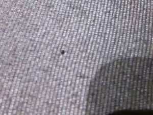 Saretta89B  live sex cam