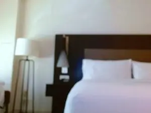 DaniDebauchery  live sex cam