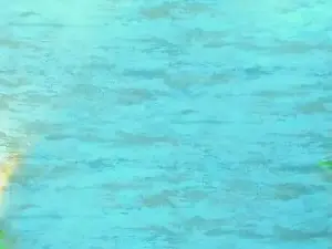 Amelia_Myers  live sex cam