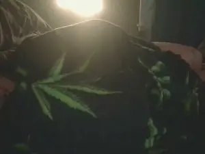 2juicyfruity  live sex cam