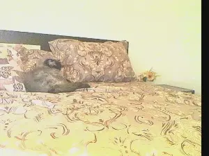 AssyKiss  live sex cam