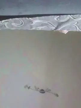 Adelaide986  live sex cam