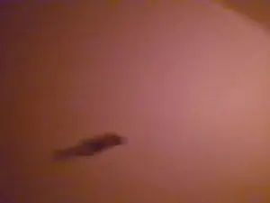 Parejitaformal  live sex cam