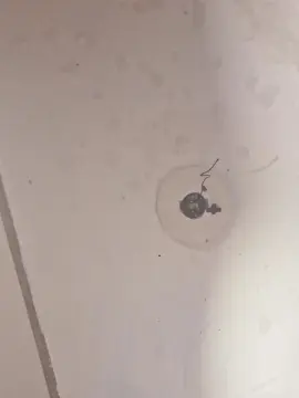 HoneySweetWater  live sex cam