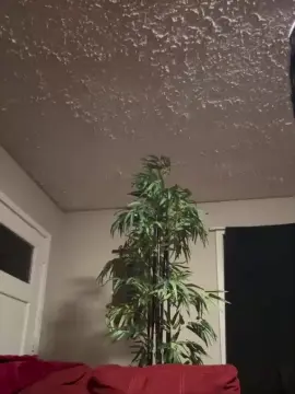 LustAndLuxery  live sex cam