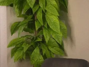 RosaWeltmer  live sex cam