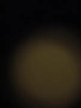 SilverMom  live sex cam