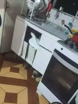 Litoran  live sex cam