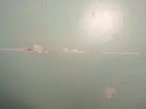 Nicely_spiced  live sex cam