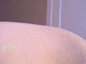 RandiGomer  live sex cam