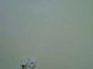 Miss_shan  live sex cam