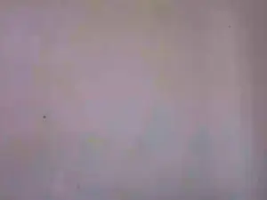YoungNathie67  live sex cam