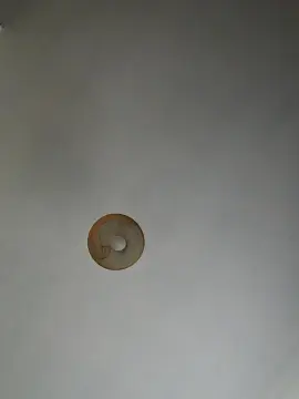 PatTom  live sex cam