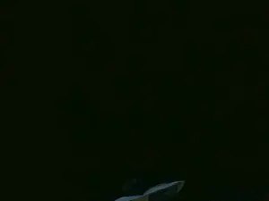 Theabelle  live sex cam