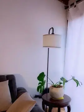 AnyLeon  live sex cam