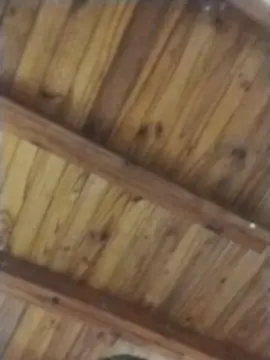 Uvita  live sex cam