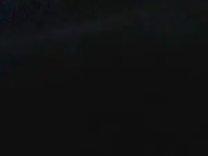 WILLUSSO  live sex cam