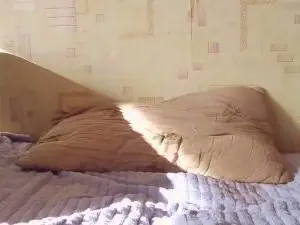 ZellaJacaruso  live sex cam