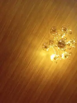 Loiralility  live sex cam