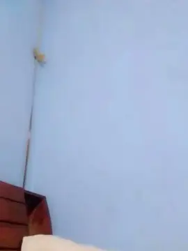 Daniela620  live sex cam