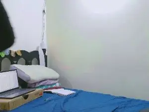 FonixeanRules  live sex cam