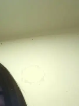 SpicyyyAmara  live sex cam