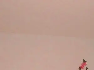 CodyCosten  live sex cam