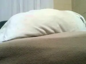 Hotchatstrip  live sex cam