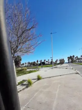 Ioanacrazy4  live sex cam