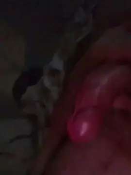 Parejasquirt082  live sex cam