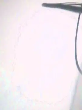 Bimbasexy  live sex cam