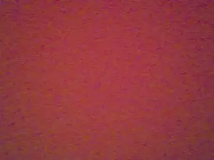 Biche69  live sex cam