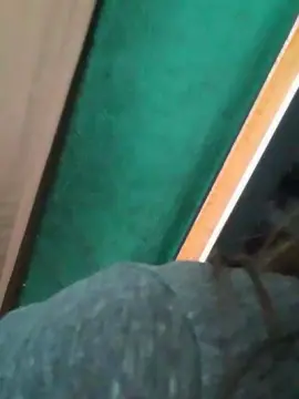Ginn19  live sex cam
