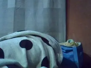 Candy257  live sex cam